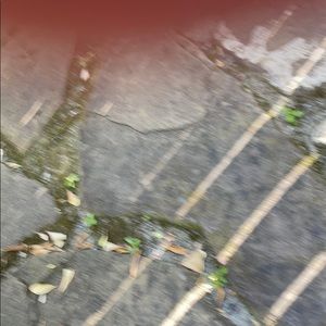 Meet your Posher, Paul